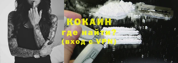 молекула духа Богородицк
