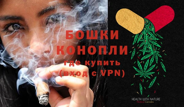 дживик Богданович