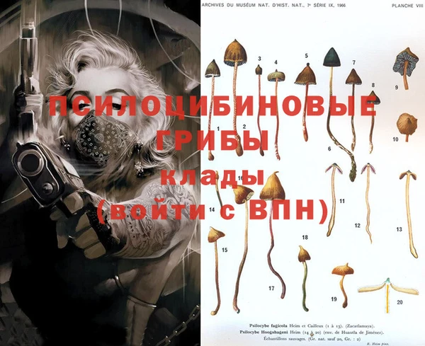 дживик Богданович