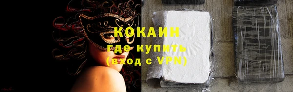 молекула духа Богородицк