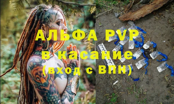 дживик Богданович
