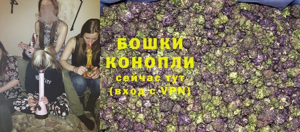 молекула духа Богородицк