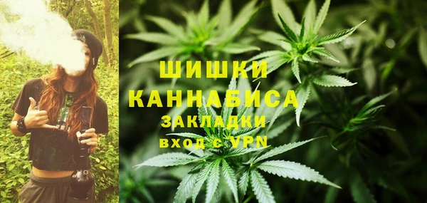 молекула духа Богородицк