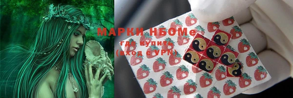 молекула духа Богородицк