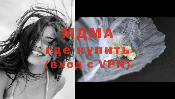 молекула духа Богородицк