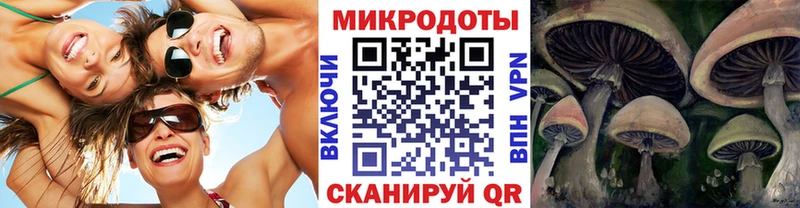 Галлюциногенные грибы Cubensis  Кохма 