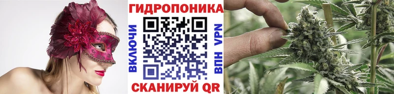 Шишки марихуана Amnesia  где купить наркоту  Кохма 